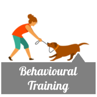 Begavioual Training Tips