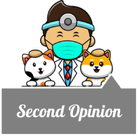 Second Opinion